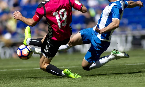 Wolverhampton 0-2 Brighton: Chiến thắng quan trọng